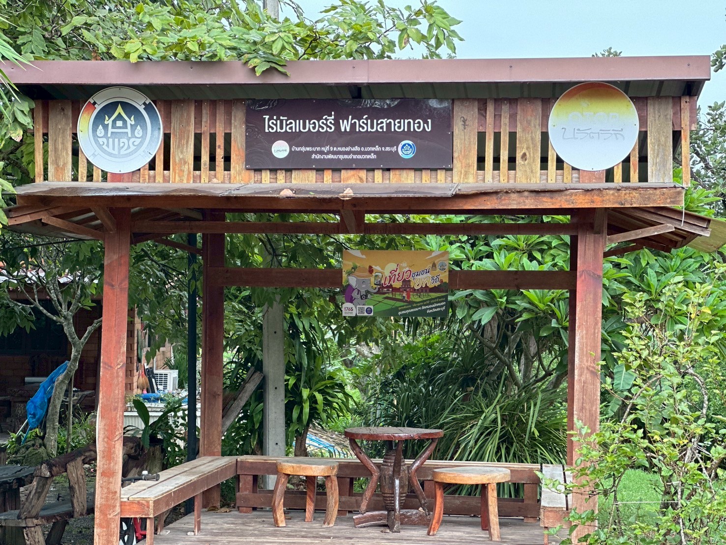 ฟาร์มสายทอง (มัลเบอร์รี่)