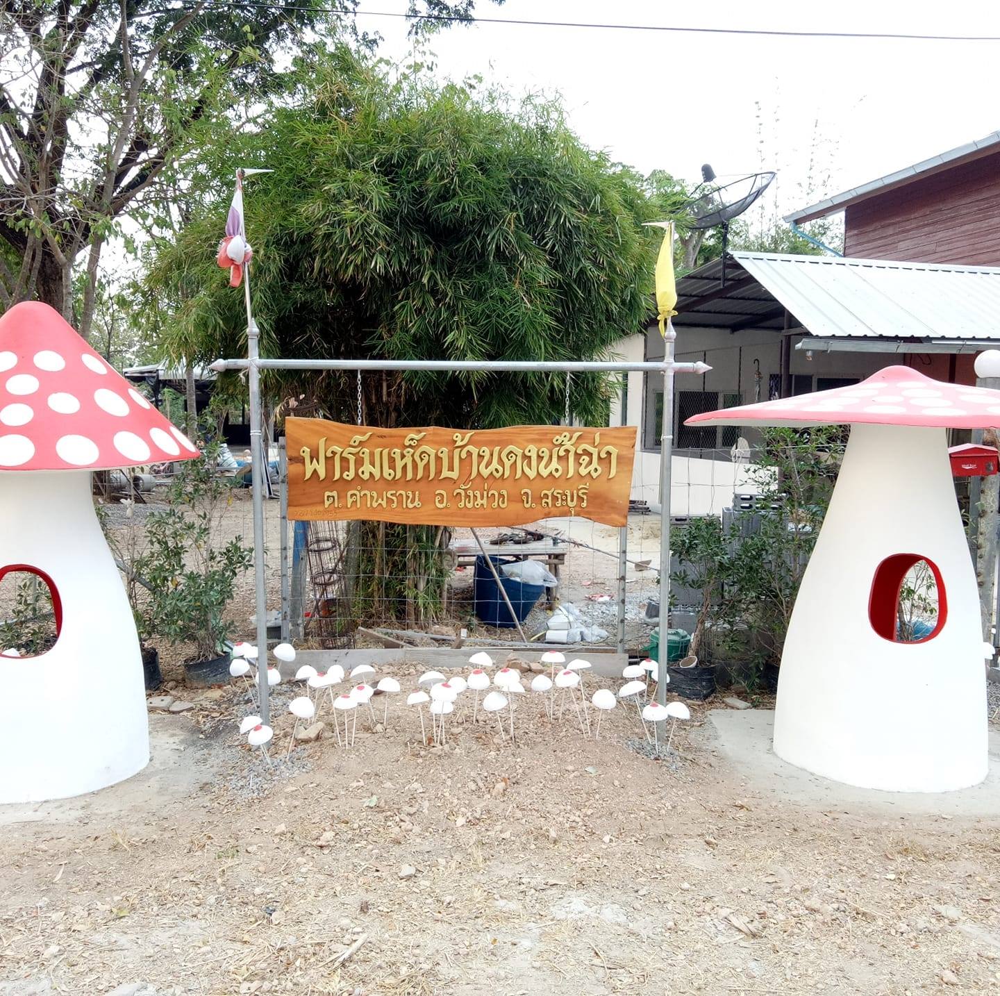 ฟาร์มเห็ดบ้านดงน้ำฉ่า