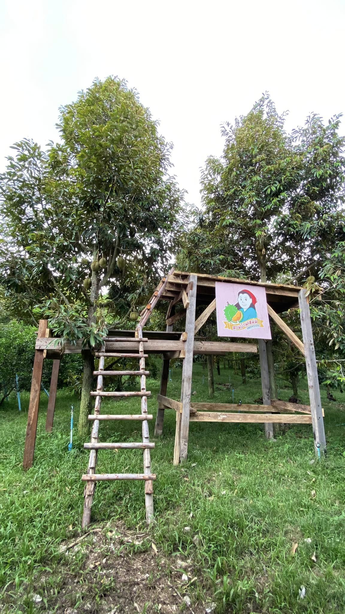 สวนบ้านแหม่ม
